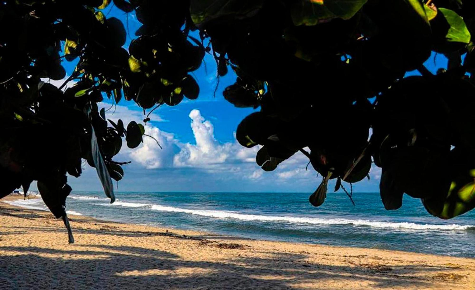 Hostal Mirador Dentro Del Parque Tayrona El Zaino Exterior foto