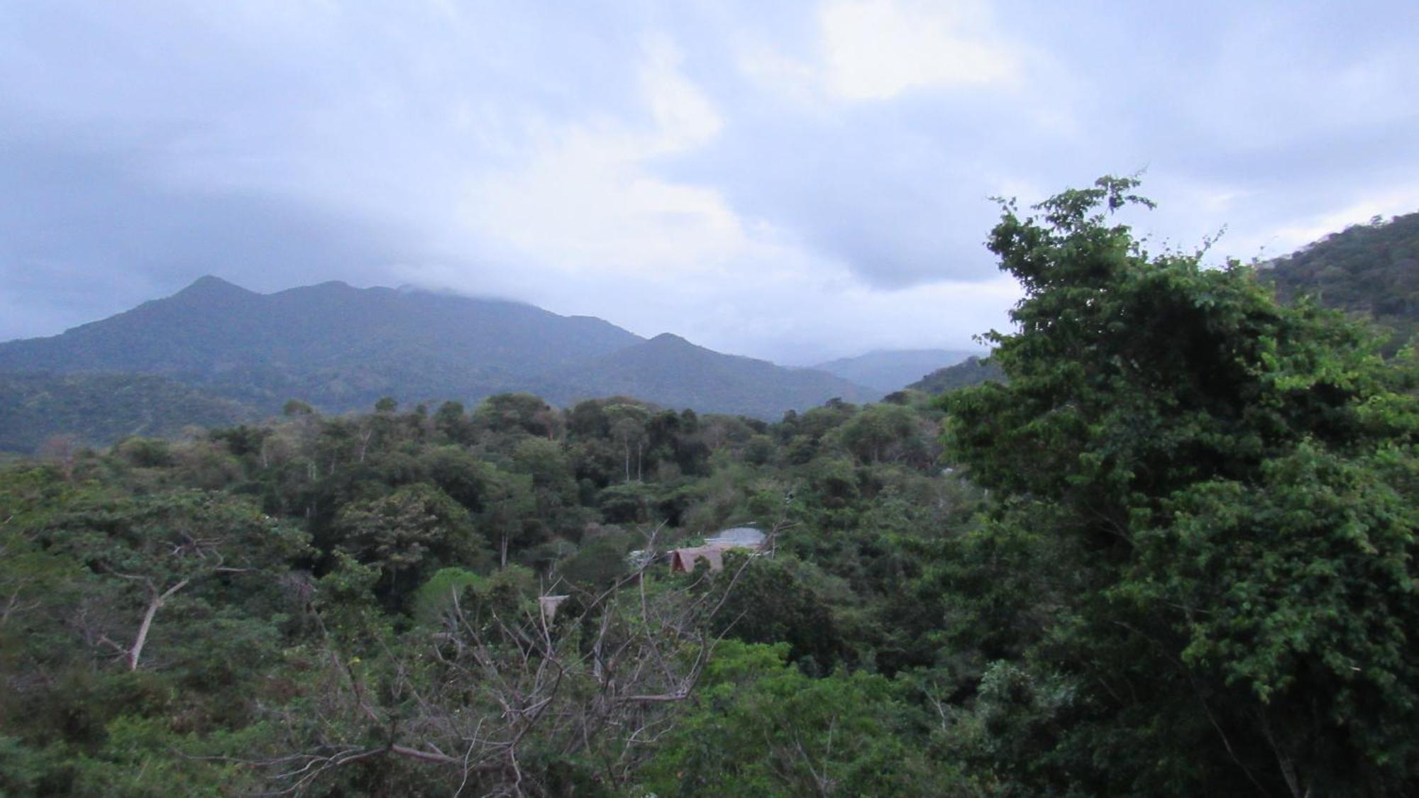 Hostal Mirador Dentro Del Parque Tayrona El Zaino Exterior foto